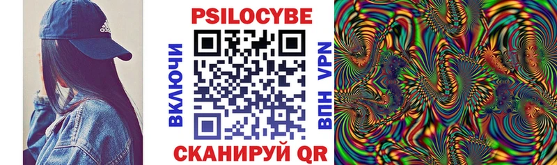 hydra вход Аша Псилоцибиновые грибы прущие грибы что такое наркотик
